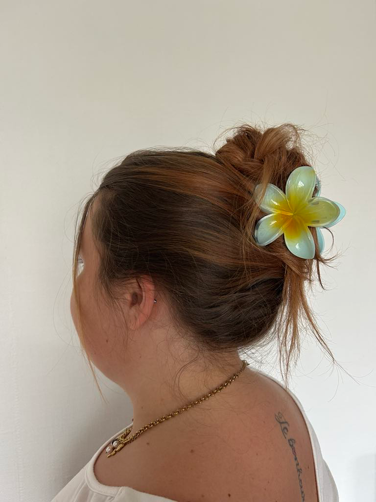 Pince à cheveux laura