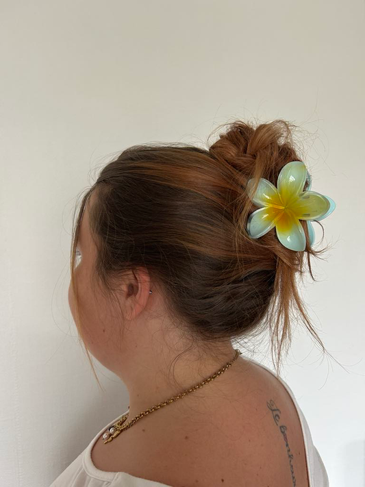 Pince à cheveux laura
